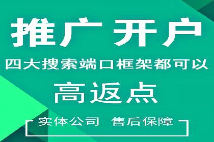 某电商平台的托管SEM竞价策略大揭秘